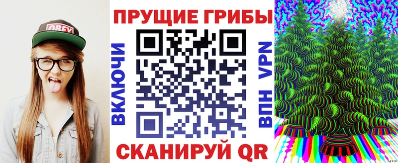 Купить закладки  Комсомольск  Галлюциногенные грибы прущие грибы 